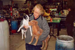 Rasmus introduceres til f�rste udgave af sin kopi