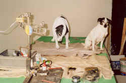 Rasmus og kopi f�r optagelserne